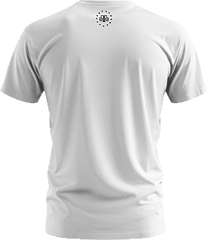 Camiseta Eu não sou perfeito mas sou Catarinense