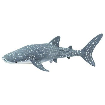 Figura Tubarão Baleia Safari Ltd.