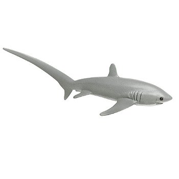 Figura Tubarão De Cauda Longa Safari Ltd.
