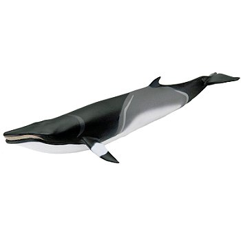 Figura Baleia Minke Safari Ltd.