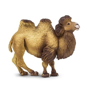 Figura Camelo Asiático Safari Ltd.