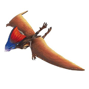 Figura Tapejara Safari Ltd.