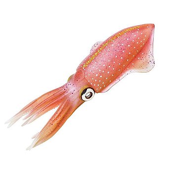 Figura Lula De Recifes Do Caribe (Reef Squid) Safari Ltd.