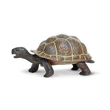 Figura Tartaruga Filhote Safari Ltd.