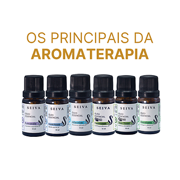 Combo Óleos Essenciais - OE Lavanda, Hortelã Pimenta, Alecrim, Capim Limão, Tea Tree e Eucalípto