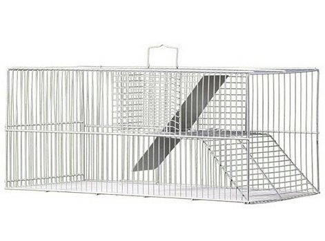 Ratoeira Gigante Fundo Falso Ratazanas Ratos Extra Grande 54 X 24 X 23cm