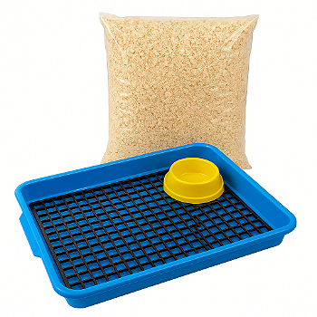 Kit Bandeja Sanitário Saniplus + Serragem e Comedouro Para Mini Coelho Porquinho da India Chinchila Cor Azul