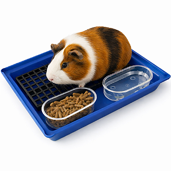 Bandeja Com Grade Banheiro Sanitário Para Porquinho da India Saniplus Junior Cor Azul Com 2 Banheira Oval