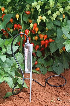 Sensor Irrigas Básico