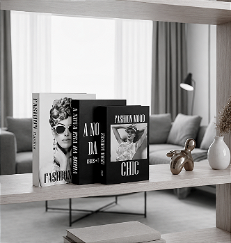 Livro Decorativo Organizador - Coleção Literária