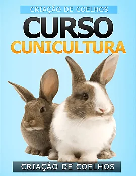 Criação De Coelhos Cunicultura