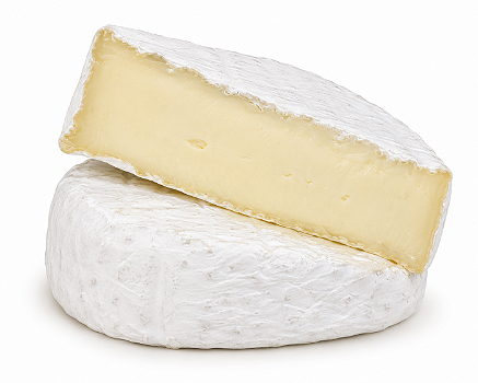 Queijo tipo brie