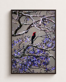 Quadro Fine Art Soldadinho - 90 x 60 cm