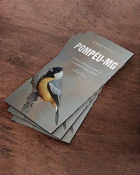 Guia de Aves de Pompéu MG