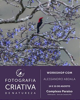 Workshop Fotografia Criativa de Natureza - com Alessandro Abdala