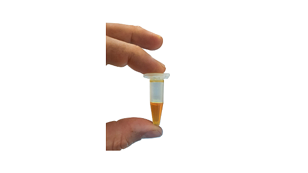 Feromônios para Controle de Broca do Coqueiro