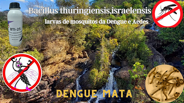 BTI combate mosquitos pernilongos aedes