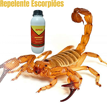 Repelex Escorpiões – Produto para Controle de Escorpiões