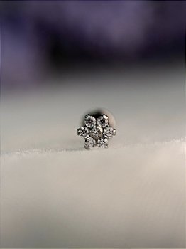 Topo Flor Zircônias - Titânio