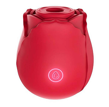 Vibrador Sugador de Clitóris Formato de Rosa Recarregável Premium