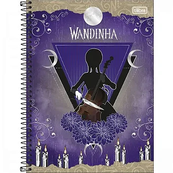 CADERNO UNIVERSITÁRIO 10 MATÉRIAS WANDINHA