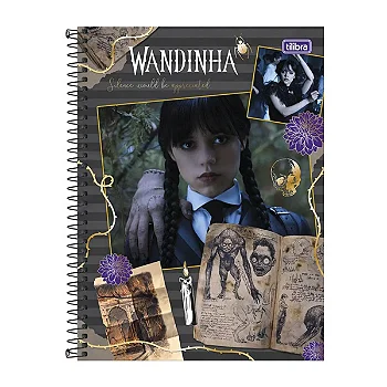 CADERNO UNIVERSITÁRIO 10 MATÉRIAS WANDINHA MÃOZINHA