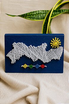 Quadro Mapa de Pernambuco String Art