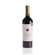VAR CLOS DE LOS SIETE BY MICHEL ROLLAND 2020 TT750