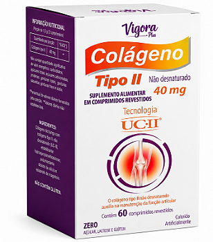 VIGORA PLUS COLAGENO TIPO II 40MG 60 CPS