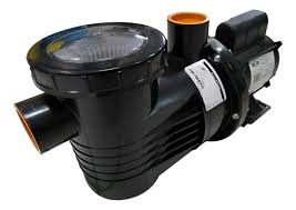 Bomba Monofásica para Piscina com Pré-Filtro 1/3cv Bivolt - Dancor