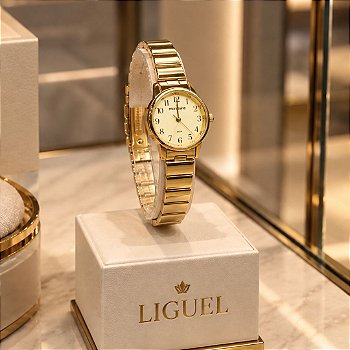 REL PULSO MONDAINE F CX MET PU ACO 32693LPMVDE1