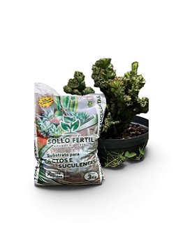Substrato para Cactos e Suculentas 3kg