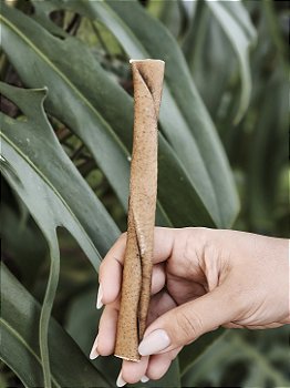 BUBA PETIT - COURO DE BÚFALO