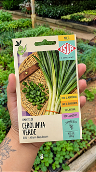 Sementes de Cebolinha Verde