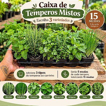🌿 Caixa de Temperos Mistos – 15 Mudas | Escolha 3 Variedades (Obrigatório)