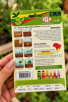 Sementes de Agrião para Plantio em Hortas