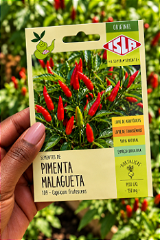 Sementes de Pimenta Malagueta para Plantio