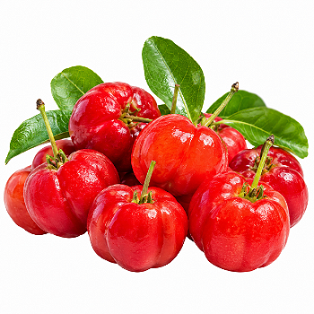 Acerola – 1,00 a 1,30 metros