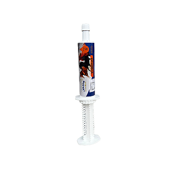 Pasta Pré-Treino Liquida Equinos — Suporte Nutricional para Cavalos Atletas Antes do Exercício