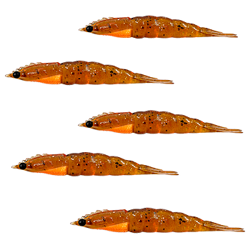 KIT MATADEIRA NEW CAMARAO ROBALEIRO 9,8CM COR25 5UN