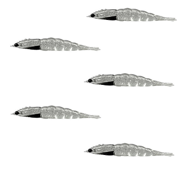 KIT MATADEIRA  NEW CAMARÃO ROBALEIRO 4,8CM COR22 5UN