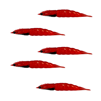 KIT MATADEIRA  NEW CAMARÃO ROBALEIRO 4,8CM COR28 5UN