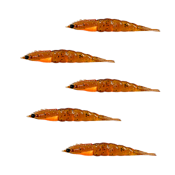 KIT MATADEIRA  NEW CAMARÃO ROBALEIRO 6,8CM COR25 5UN