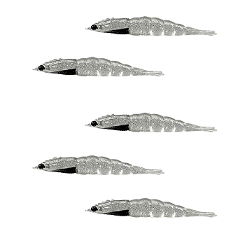 KIT MATADEIRA  NEW CAMARÃO ROBALEIRO 7,8CM COR22 5UN