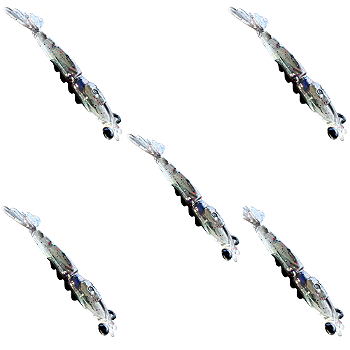 KIT 5 UN ISCAS PIRATAS FISHING TURBO FUMAÇA OVA BLACK 7,5CM