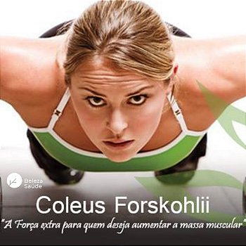 Coleus Forskohlii 300mg : Emagre Massa Magra 60 Cápsulas