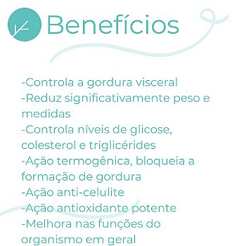 Meratrim + Morosil + Cactin + Pholia + Magnésio + Zinco : Emagrecimento e Reposição de Vitaminas e Minerais - 60 doses