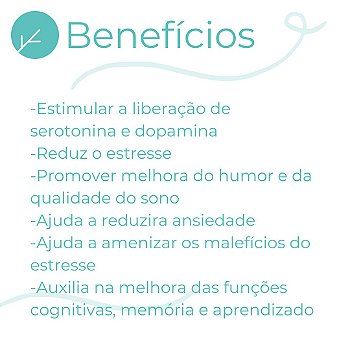 Mucuna + Ginkgo Biloba +2 Ativos -  Bem Estar Físico e Mental - 60 doses