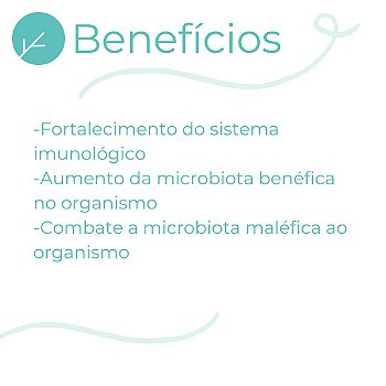 Probióticos Prevenção Candidíase : Pool de Lactobacillus Antifungo 6 Bilhões UFC - 120 Cápsulas