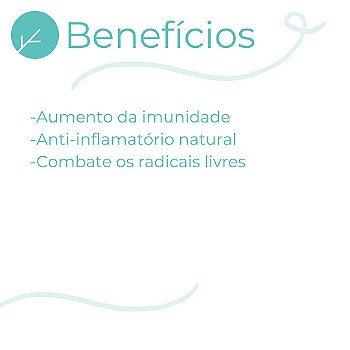 Própolis 500mg : Extrato Autêntico Concentrado - 240 Cápsulas
